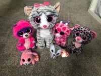 beanie boos gumtree
